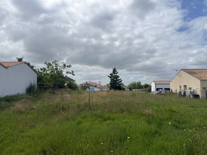 Image Vue à terrain de La Marne