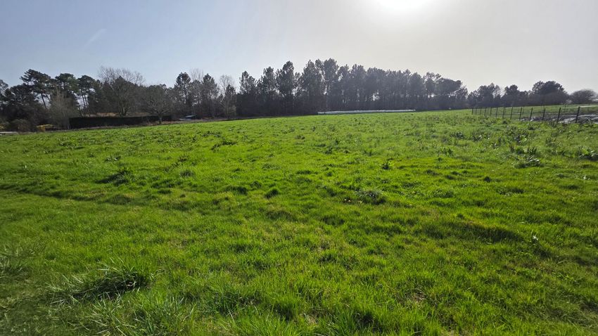 Image de terrain à Montrem