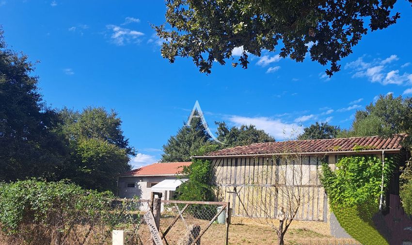 Image Jardin à  maison individuelle de Mont-de-Marsan