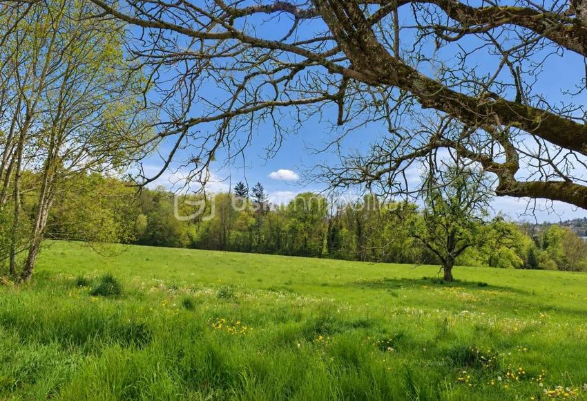 Image de terrain à Villy-le-Pelloux