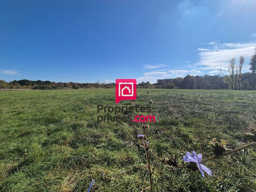 Image de terrain à Grignols