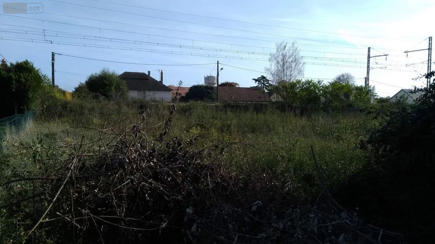 Image de terrain à Beaugency