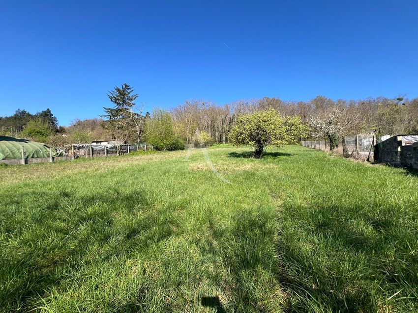 Image de terrain à Chissay-en-Touraine