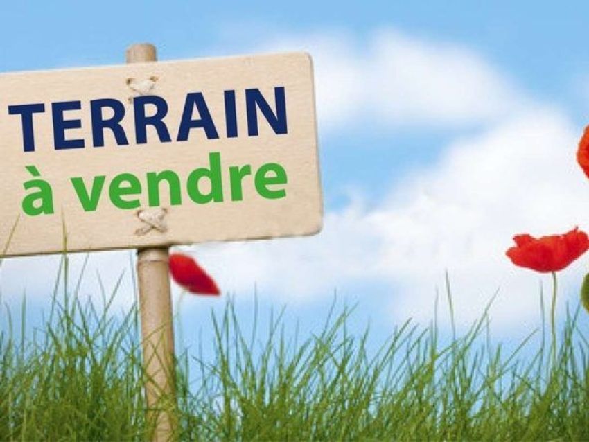 Image de terrain à Rion-des-Landes