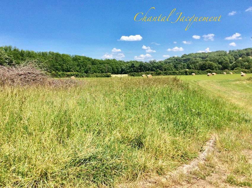 Image de terrain à Saint-Jean-de-Côle