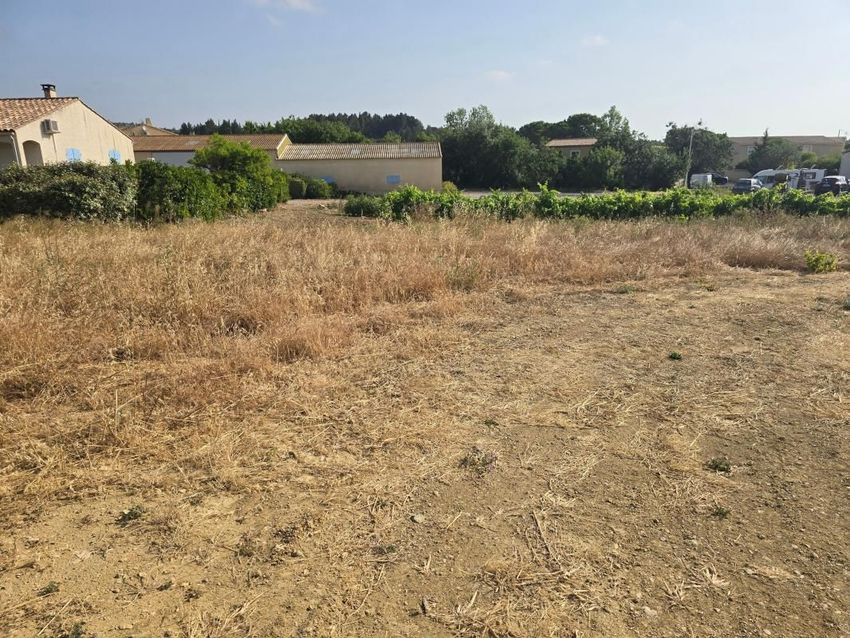 Image de terrain à Portel-des-Corbières