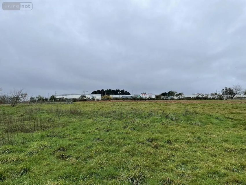 Image de terrain à Mauron