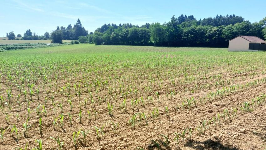 Image de terrain à Saint-Yrieix-la-Perche