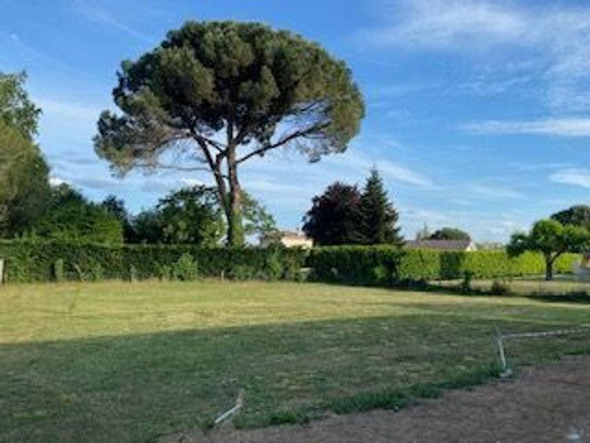 Image de terrain à La Brède