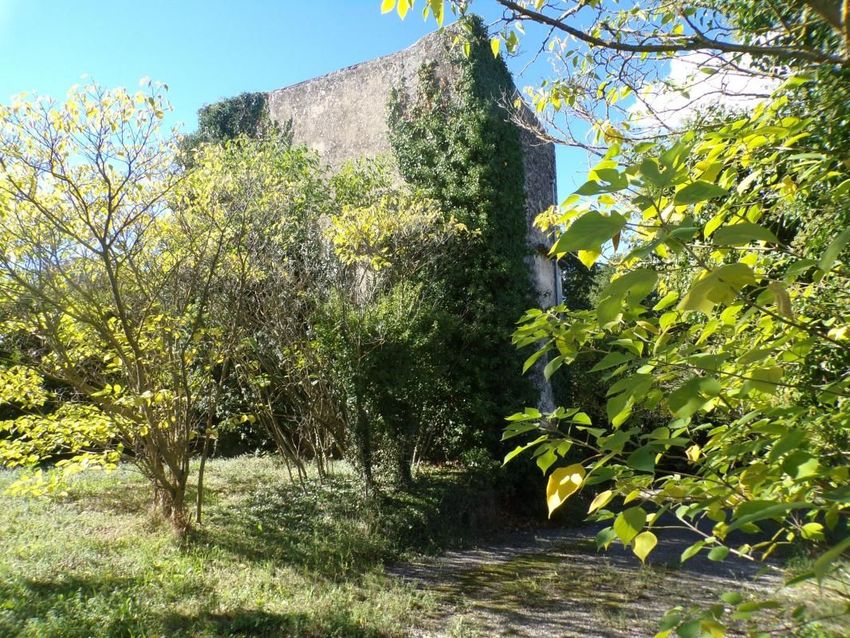 Image Jardin à  maison individuelle de Grambois