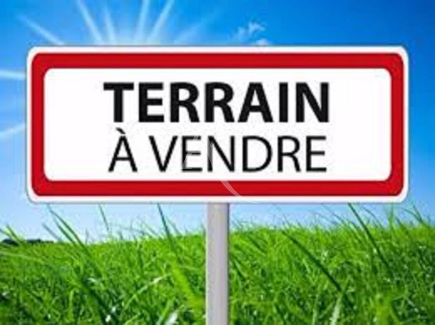Image de terrain à Chilleurs-aux-Bois