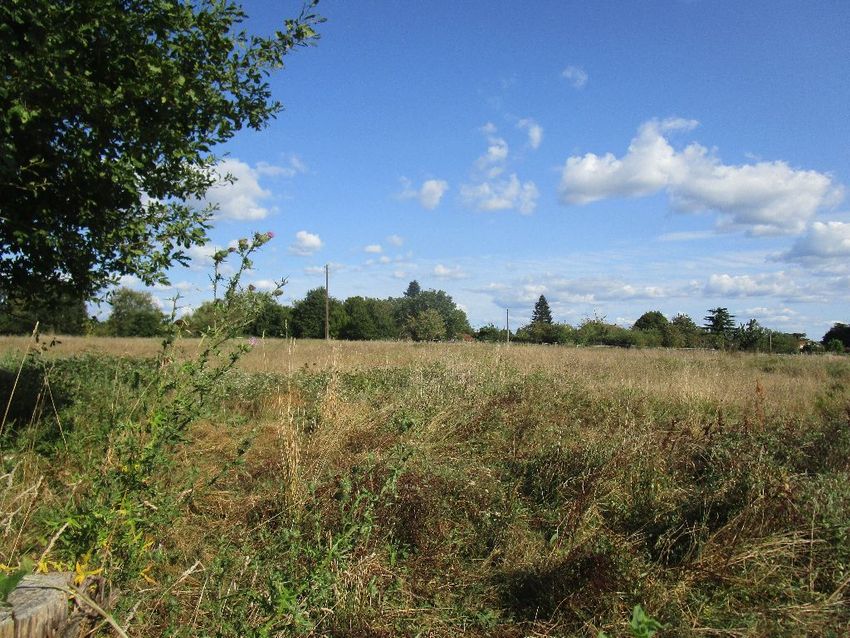 Image Vue à terrain de Saint-Laurent-des-Hommes