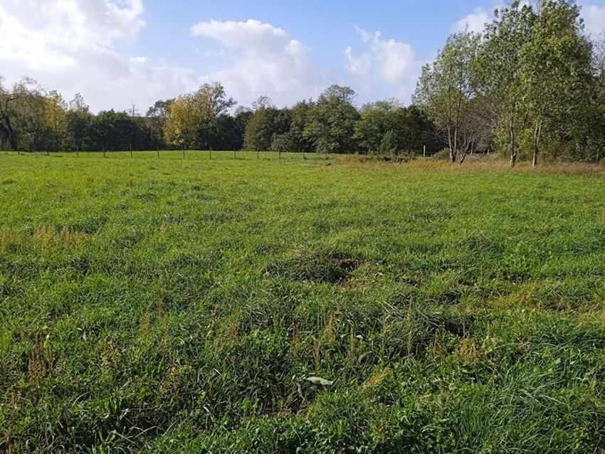 Image de terrain à Saint-Aubin-de-Blaye