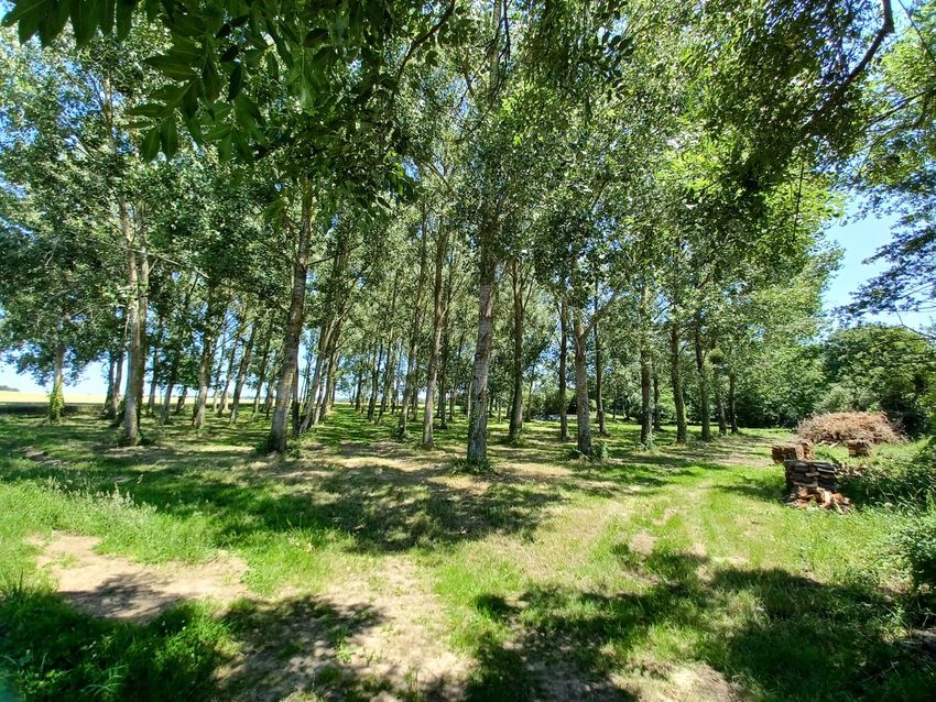 Image de terrain à Cirières