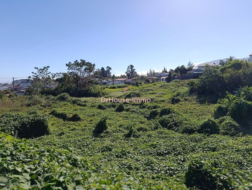 Image de terrain à Le Tampon