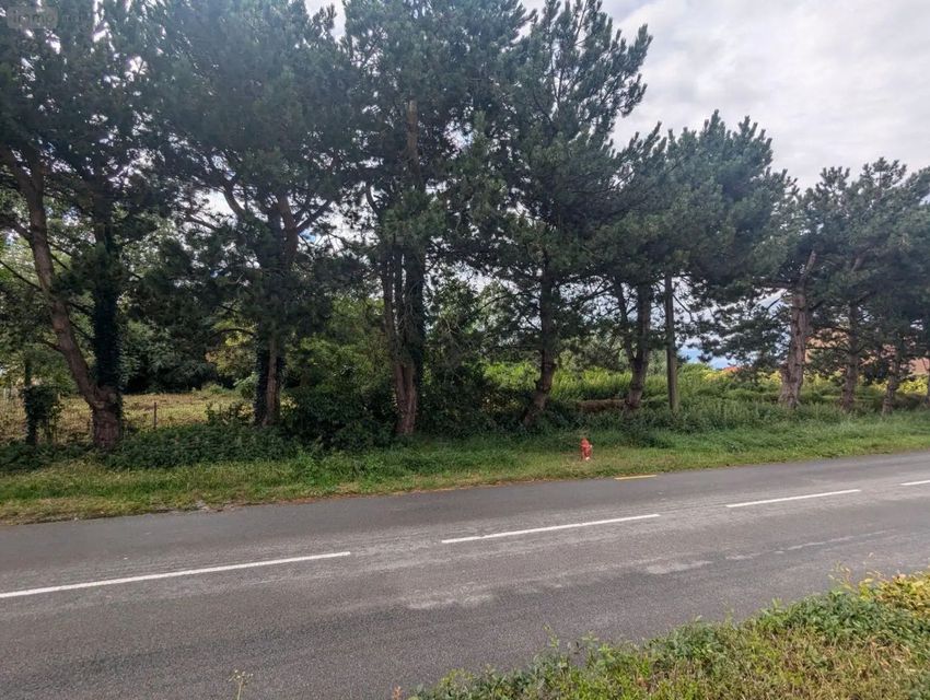 Image de terrain à Crochte