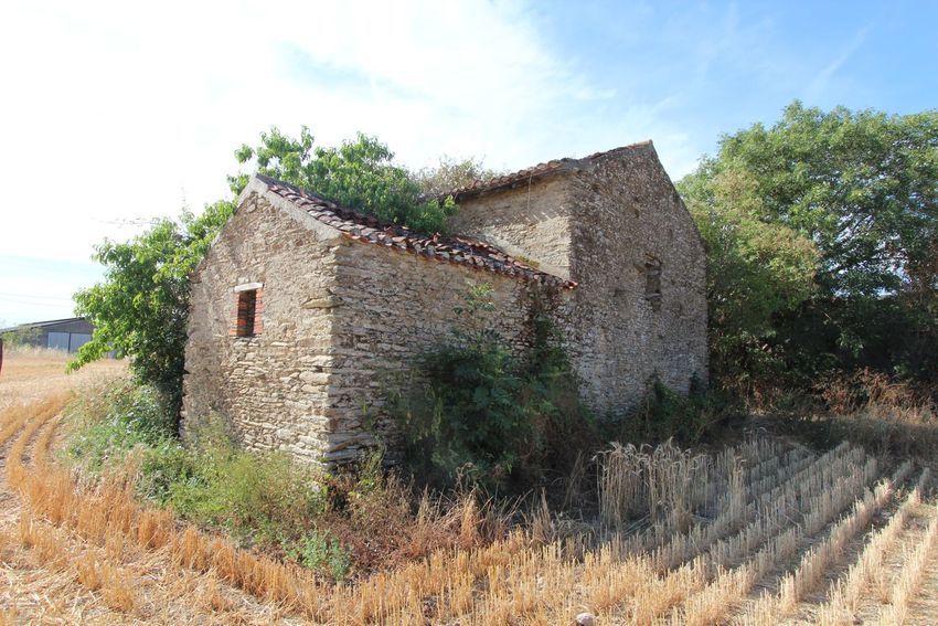 Image Façade à  maison individuelle de Le Busseau