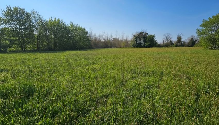 Image de terrain à Lafox