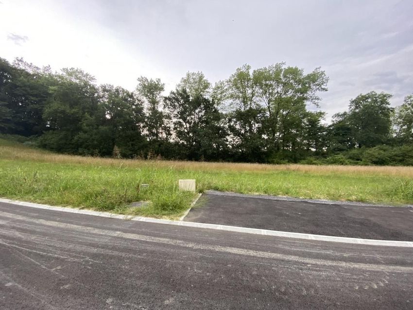 Image de terrain à Cauneille