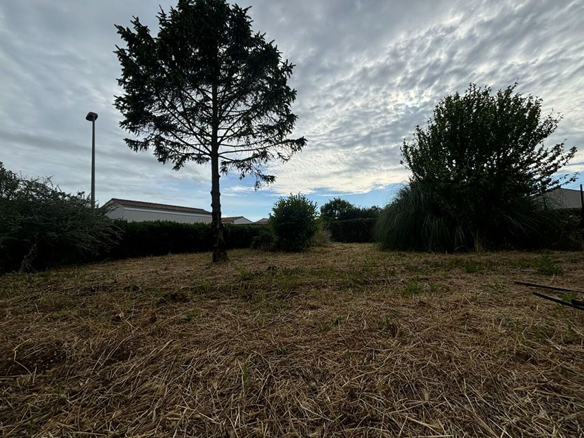 Image de terrain à Saint-Rogatien