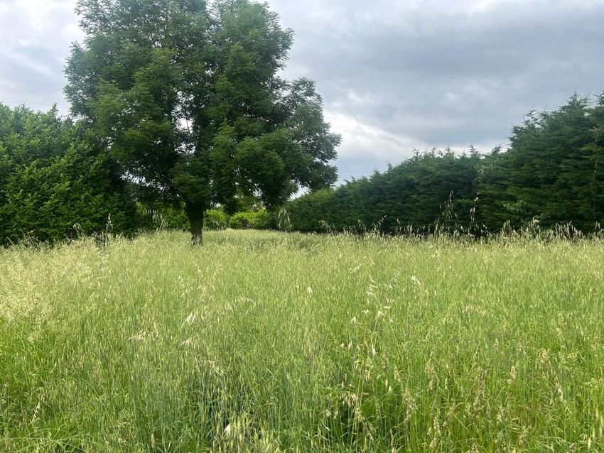 Image de terrain à Loriol-sur-Drôme
