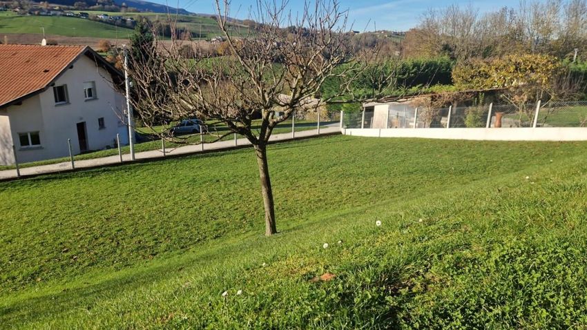 Image de terrain à Rumilly