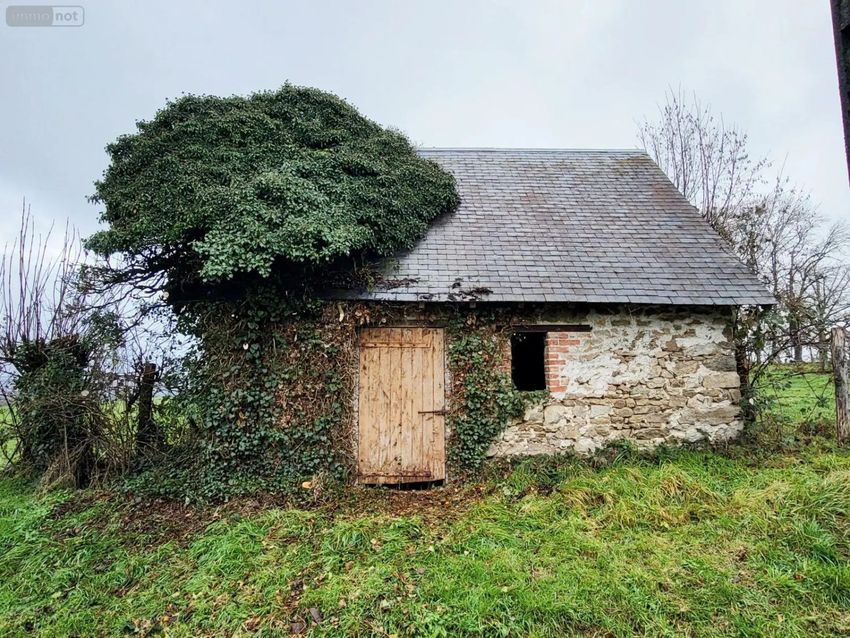 Image de terrain à Monestier-Merlines