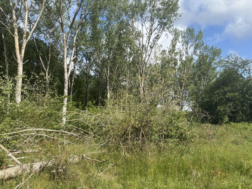 Image de terrain à Baugé-en-Anjou