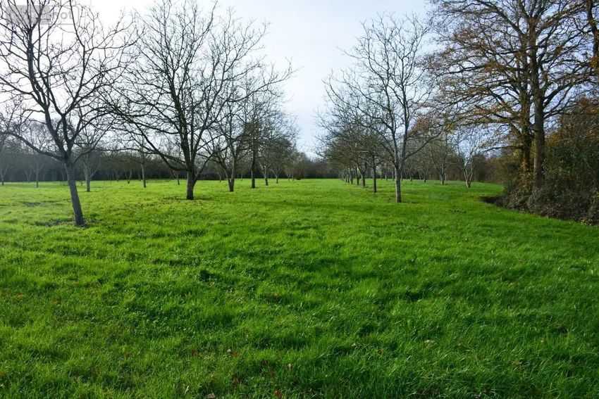 Image de terrain à Grez-en-Bouère