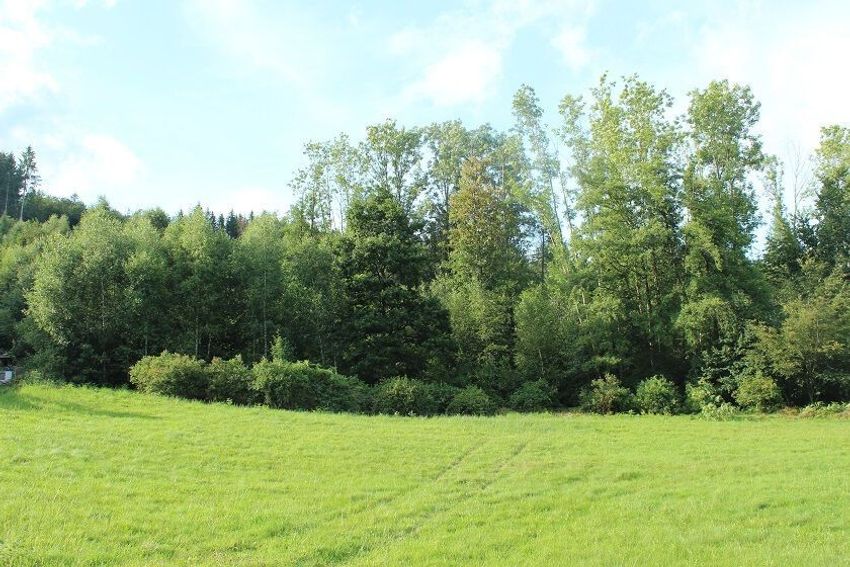 Image de terrain à Cleurie