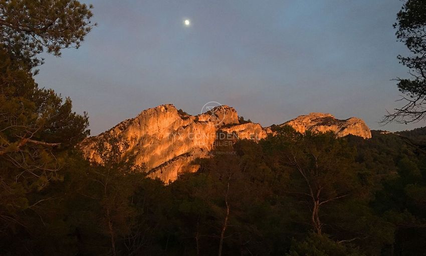 Image Vue à appartement de Saint-Rémy-de-Provence