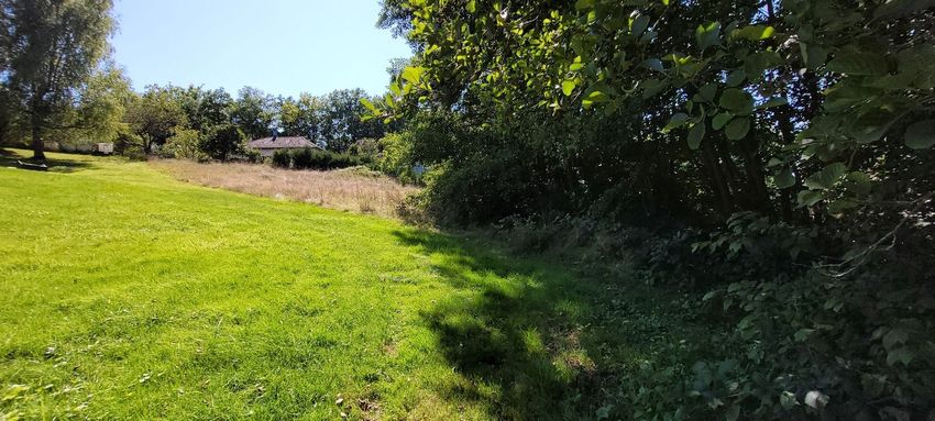 Image de terrain à Saint-Dié-des-Vosges
