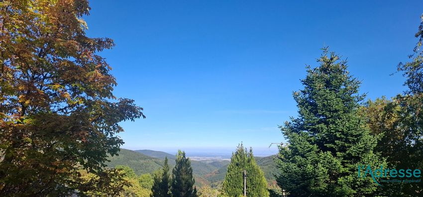 Image Vue à terrain de Labaroche