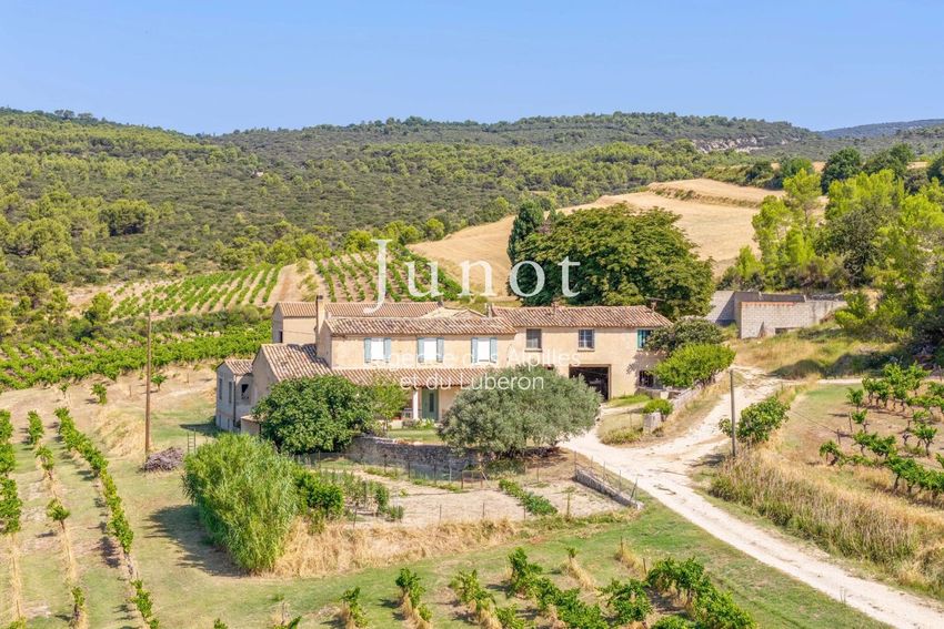 Image Vue à  exploitation viticole / vignoble de Murs