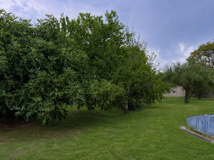 Image de terrain à Montaren-et-Saint-Médiers