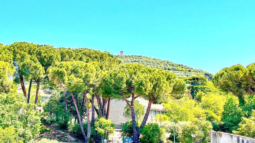 Image Jardin à appartement de Manosque