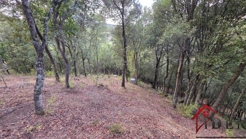 Image de terrain à Alata