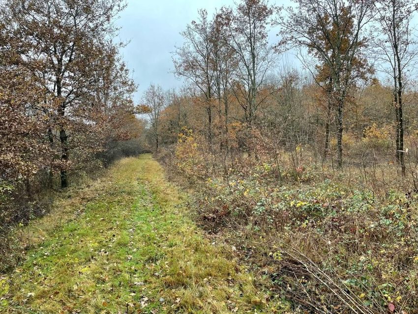 Image de terrain à Châtres-sur-Cher