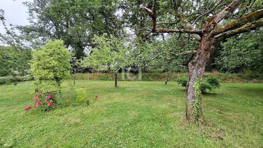Image de terrain à Saint-Viaud