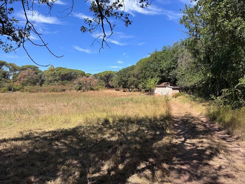 Image de terrain à Le Muy