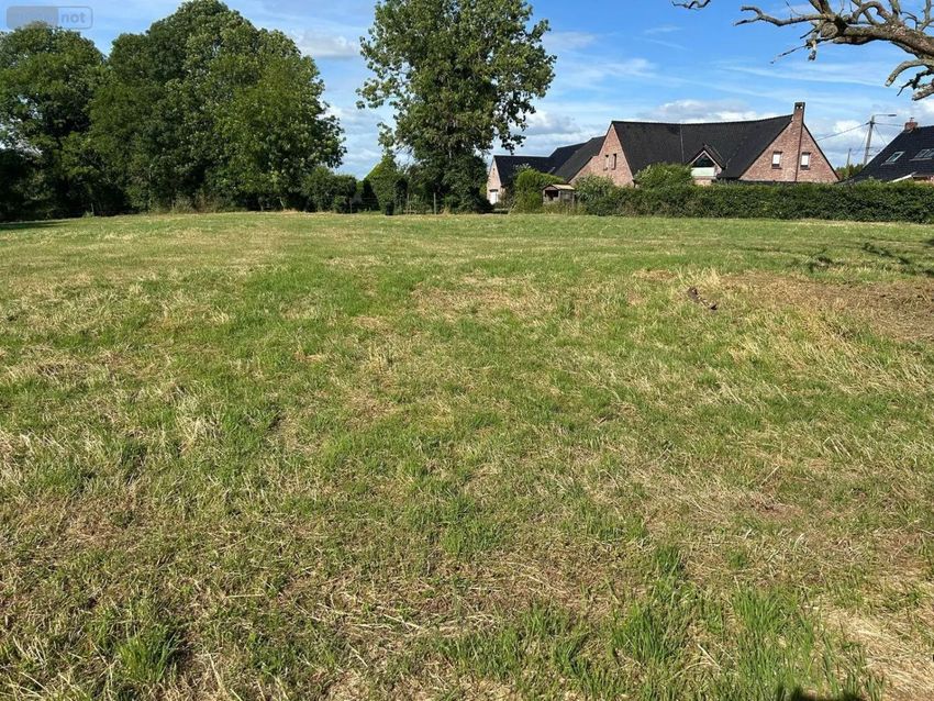 Image de terrain à Herzeele