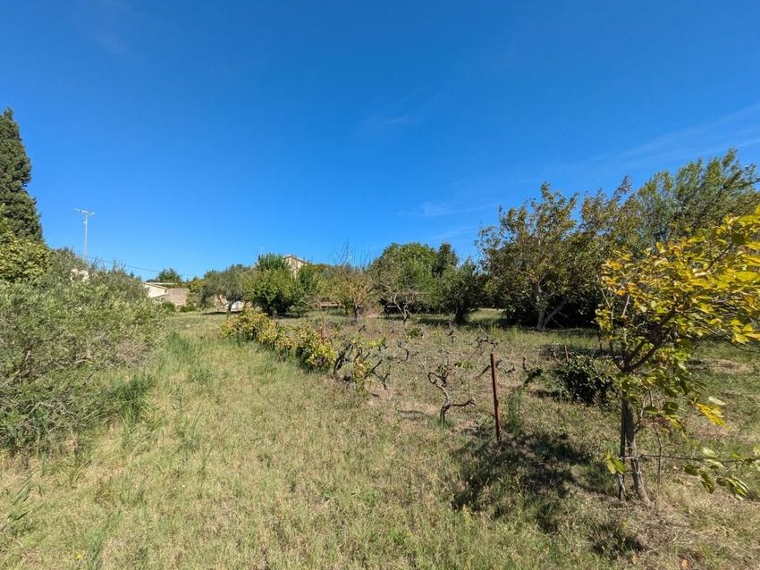 Image de terrain à Orange