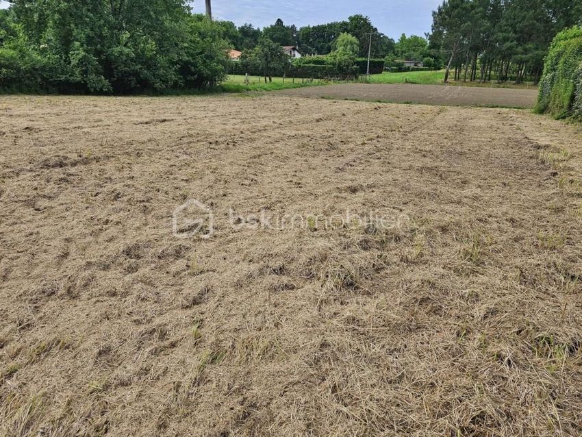 Image de terrain à Aire-sur-l'Adour