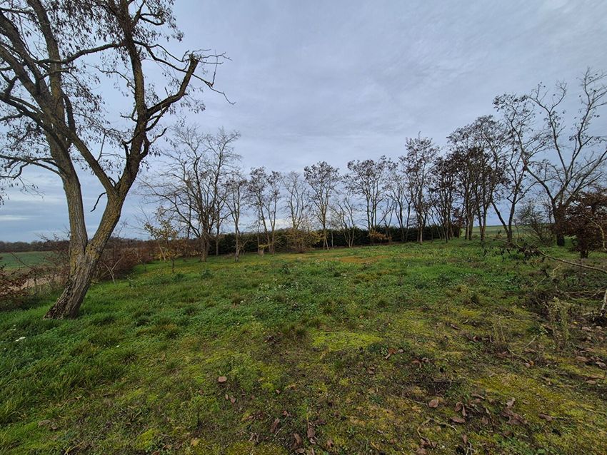 Image de terrain à Chissay-en-Touraine