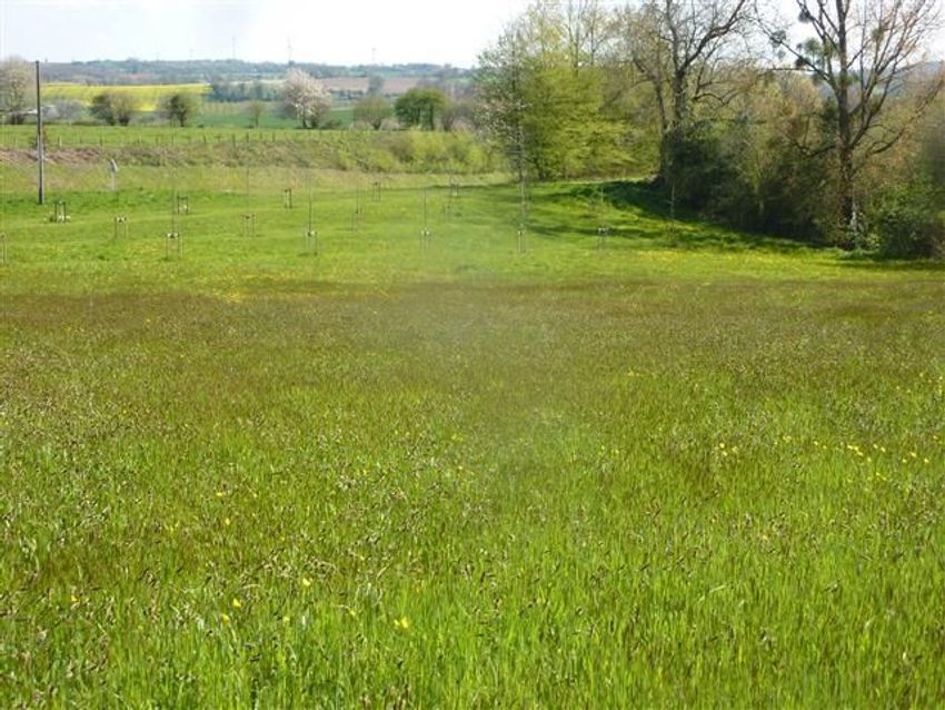 Image de terrain à Lassay-les-Châteaux
