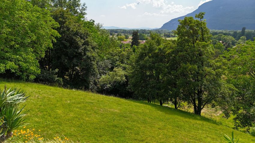 Image de terrain à Serrières-en-Chautagne