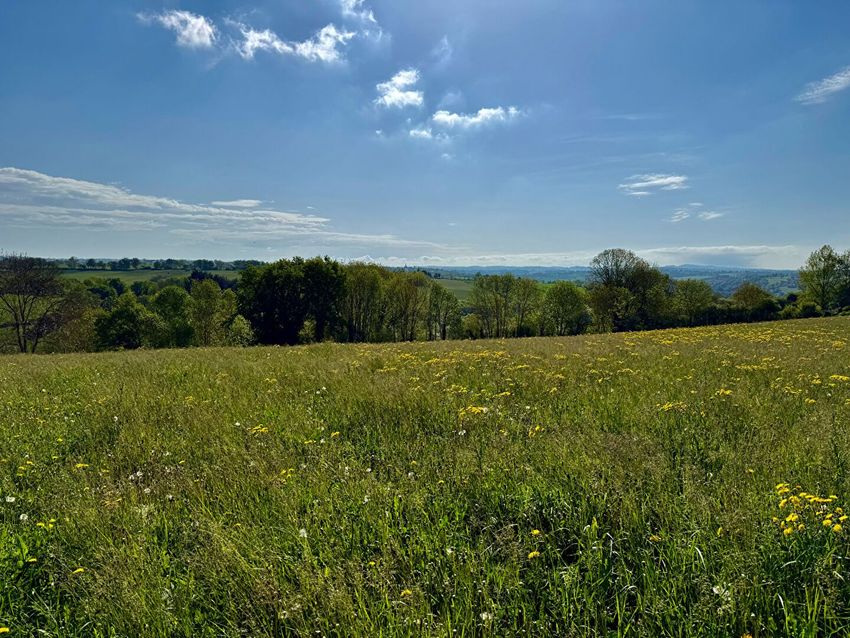 Image Vue à terrain de Sainte-Juliette-sur-Viaur