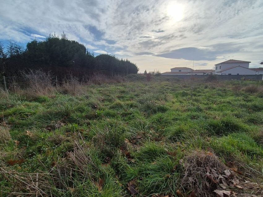 Image Vue à terrain de Léguevin