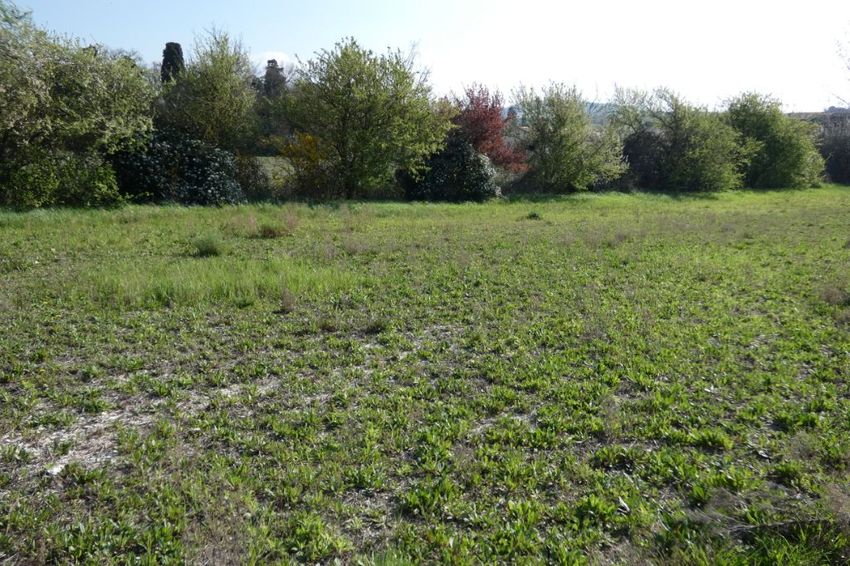 Image de terrain à Villasavary