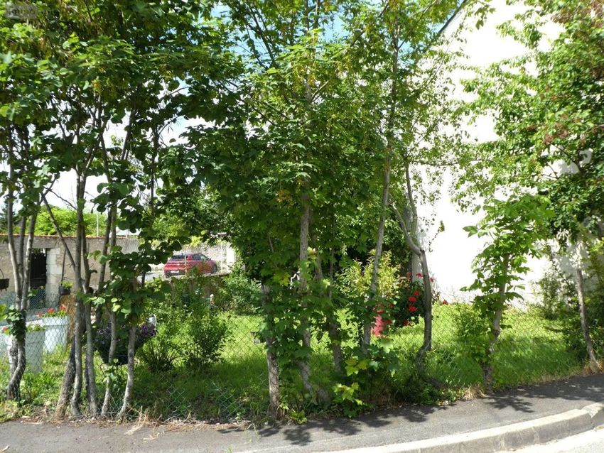Image de terrain à Bléré